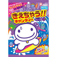 ライオン菓子 きえちゃうキャンディー 4903939020254 1セット(89g×12個)（直送品） - アスクル