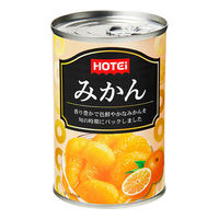 みかん 輸入品 1缶 ホテイフーズ