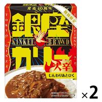 【期間限定】銀座カリー 発売30周年 ビーフ大辛 1人前・180g 1セット（1個×2）明治 レトルト