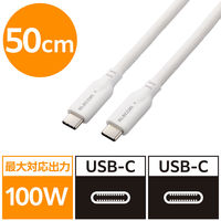 ^CvCP[u (USB-C to C) PDΉ 100W 0.5m ϋv  MPA-CC1GSM05WH GR 1