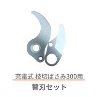 シンセイ 替刃セット TIP