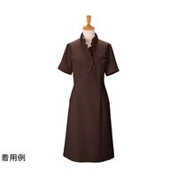 ボストン商会 ワンピース チャ 13 00110 1枚 64-9065-45（直送品）