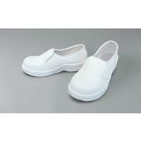 ~cE} 2wSC  25cm 65-6900-27 1iij
