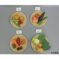 イワイサンプル 食育/旬の野菜・果物フードモデル 28品(ザル・プレート付) 53 1セット 63-6506-33（直送品）