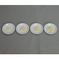 イワイサンプル フードモデル 離乳食・発達段階別素材単品 白身魚 44R-W 1セット 63-6506-37（直送品）