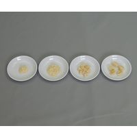 イワイサンプル フードモデル 離乳食・発達段階別素材単品 鶏肉 44R-V 1セット 63-6506-38（直送品）