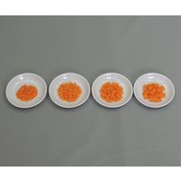 イワイサンプル フードモデル 離乳食・発達段階別素材単品 人参 44R-T 1セット 63-6506-40（直送品）