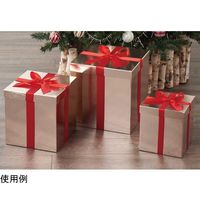 楽天市場】クリスマスギフトボックス 7点セット クリスマス