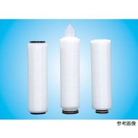 オルガノ ミクロポアー (絶対孔径:0.20μm， 250mm) 2BC-1SE 1本 64-4281-92（直送品）