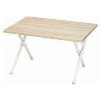 ミヤグチ企販 折りたたみ木製テーブル ロータイプ WDL-6045