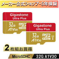 Nintendo Switch確認済マイクロSDカード 32GB 2枚セット GJMXR-32GV3A1100R-2PK　Gigastone（直送品）