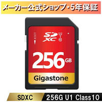 U1V10クラスSDカード GJSXR-256GU1-RED 1枚 Gigastone（直送品）