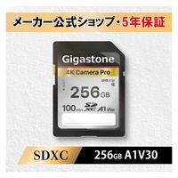 UHS-I U3 クラス10　SDカード GJSXR4K-256GV3A1 1枚 Gigastone（直送品）