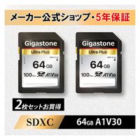 A1V30クラスSDカード　2枚セット GJSXR-64GV3A1-2PK 2枚組 Gigastone（直送品）