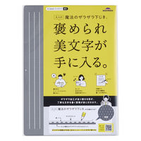 レイメイ藤井 大人の魔法のザラザラ下じき B5 グレー U1256N 1枚（直送品）