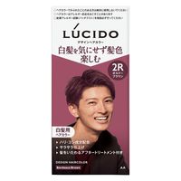 マンダム ルシード　デザインヘアカラー　ボルドーブラウン　（医薬部外品） 4902806125528 1組×6点セット（直送品）