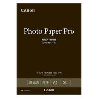 キヤノン　写真用紙・光沢　プロ[プラチナグレード]　A4　PT-201A420　1箱（20枚入）（わけあり品）