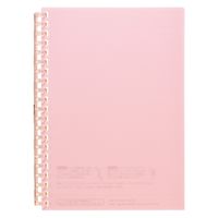 ピンク　ノート　セット リヒトラブ オープンリングノート B6 ピンク 交換式ノート N2723