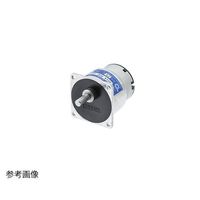 ツカサ電工 DCギヤドモータ TG-301A-AGD-100-HA24V 1個 62-3159-27（直送品）