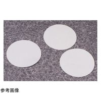 サーモフィッシャーサイエンティフィック メンブレンフィルター(NYL) 0.2μm DS0215-4020 1箱(100枚)（直送品）