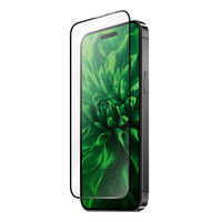 MSソリューションズ LEPLUS NEXT iPhone 15Plus/ ProMax ガラス LN-IA23FG