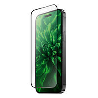 iPhone 15 Pro KXtB uGLASS PREMIUM FILMv Sʕی \tgt[ ˖h~iij