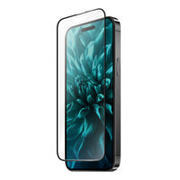 iPhone 15 KXtB uGLASS PREMIUM FILMv Sʕی \tgt[ ˖h~Eu[CgJbgiij