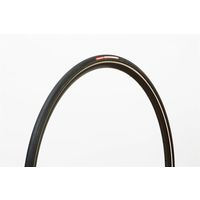 パナレーサー LPー725PTーBーBーRV42 チューブラープラクティス P700×25.0 黒サイド 1本（直送品）