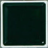 あかしや あかしや顔彩 濃緑 AP-09 1セット(5個)（直送品）