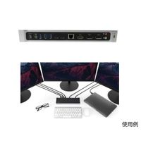 DK30CH2DPPD（直送品）