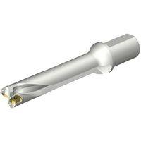 サンドビック SANDVIK コロドリルDS20刃先交換式ドリル(465) DS20-D4200L50-05 1本 351-2557（直送品）