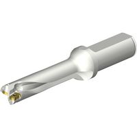 サンドビック SANDVIK コロドリルDS20刃先交換式ドリル(465) DS20-D1950L25-04 1本 352-0433（直送品）