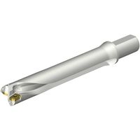 サンドビック SANDVIK コロドリルDS20刃先交換式ドリル(465) DS20-D4285LX38-06 1本 351-4147（直送品）