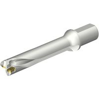 サンドビック SANDVIK コロドリルDS20刃先交換式ドリル(465) DS20-D4400L50-05 1本 351-5687（直送品）