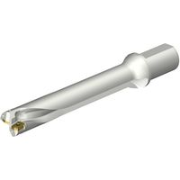 サンドビック SANDVIK コロドリルDS20刃先交換式ドリル(465) DS20-D4400L50-06 1本 351-2528（直送品）