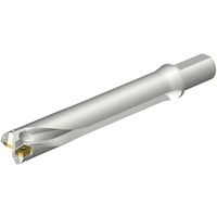 サンドビック SANDVIK コロドリルDS20刃先交換式ドリル(465) DS20-D4445LX38-06 1本 351-0914（直送品）