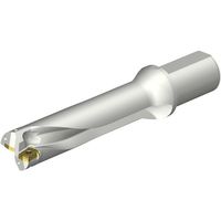 サンドビック SANDVIK コロドリルDS20刃先交換式ドリル(465) DS20-D4600L50-04 1本 351-2514（直送品）