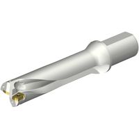 サンドビック SANDVIK コロドリルDS20刃先交換式ドリル(465) DS20-D4800L50-04 1本 351-7303（直送品）