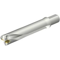 サンドビック SANDVIK コロドリルDS20刃先交換式ドリル(465) DS20-D5900L50-05 1本 351-5710（直送品）