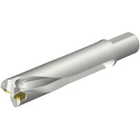 サンドビック SANDVIK コロドリルDS20刃先交換式ドリル(465) DS20-D6300L50-04 1本 351-2515（直送品）