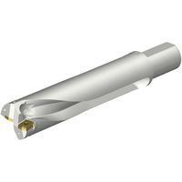 サンドビック SANDVIK コロドリルDS20刃先交換式ドリル(465) DS20-D6400L50-04 1本 351-2579（直送品）