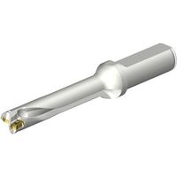 サンドビック SANDVIK コロドリルDS20刃先交換式ドリル(465) DS20-D1550L20-05 1本 351-8899（直送品）