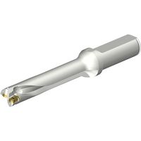 サンドビック SANDVIK コロドリルDS20刃先交換式ドリル(465) DS20-D1650L20-05 1本 351-5743（直送品）