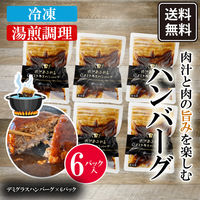 日本ハム 肉汁あふれるハンバーグ6個 デミグラスソース 冷凍 惣菜 湯煎調理 902002394 1セット（直送品）