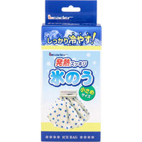 日進医療器 リーダー 発熱スッキリ 氷のう