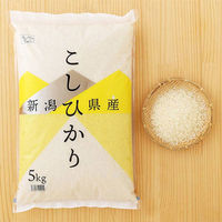 新潟県産 コシヒカリ 精白米 5kg 1袋 令和5年産 米 お米  オリジナル