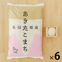 秋田県産 あきたこまち 30kg（5kg×6袋） 精白米 令和5年産 米 お米  オリジナル