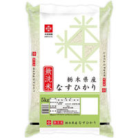 栃木なすひかり 5kg 1袋 無洗米 令和5年産 米 お米