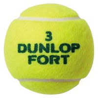 ダンロップ テニス ボール フォート DFFYL2TIN 1缶（2球）