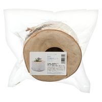 リーフ 木製ポット 1つ穴 国産白樺 鉢カバー 930780 1個（直送品）